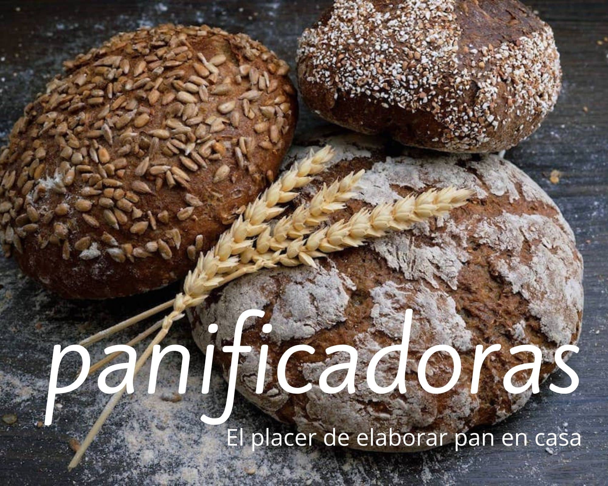Las cuatro mejores panificadoras del mercado para preparar pan sin gluten.  ¿Qué es una panificadora?
